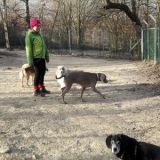 Clooney mit Nikki Kaya Fidi und Meiko